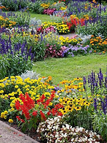 33c71612f53108a78a50abc843bfeaf9--colorful-flowers-colorful-flower-garden.jpg