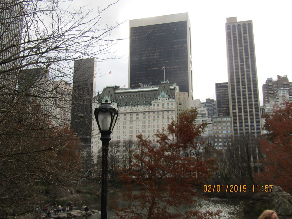 central park