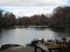 "The Pond" - Central Park